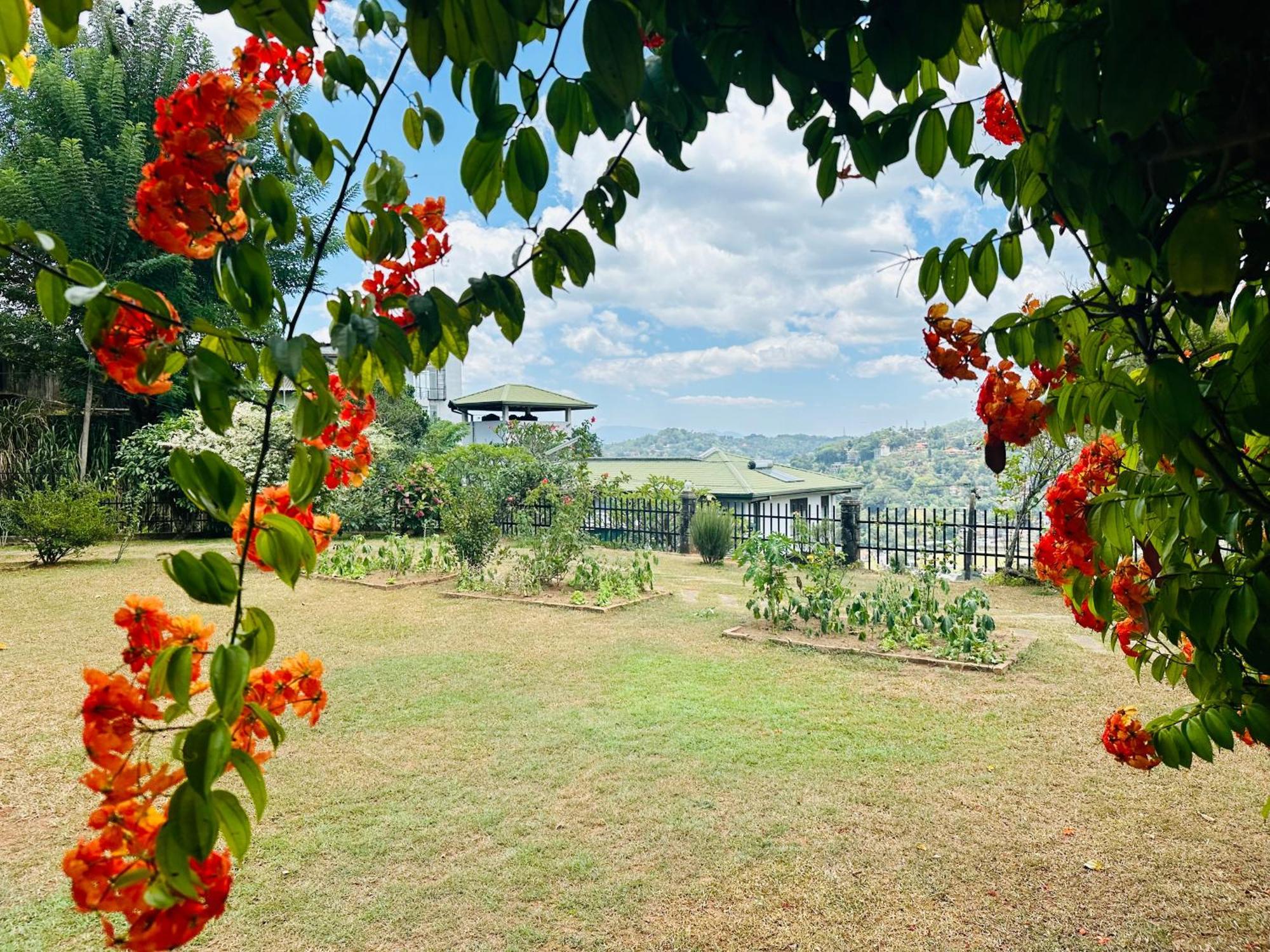 The Views Kandy - 360 Mountain View Екстер'єр фото